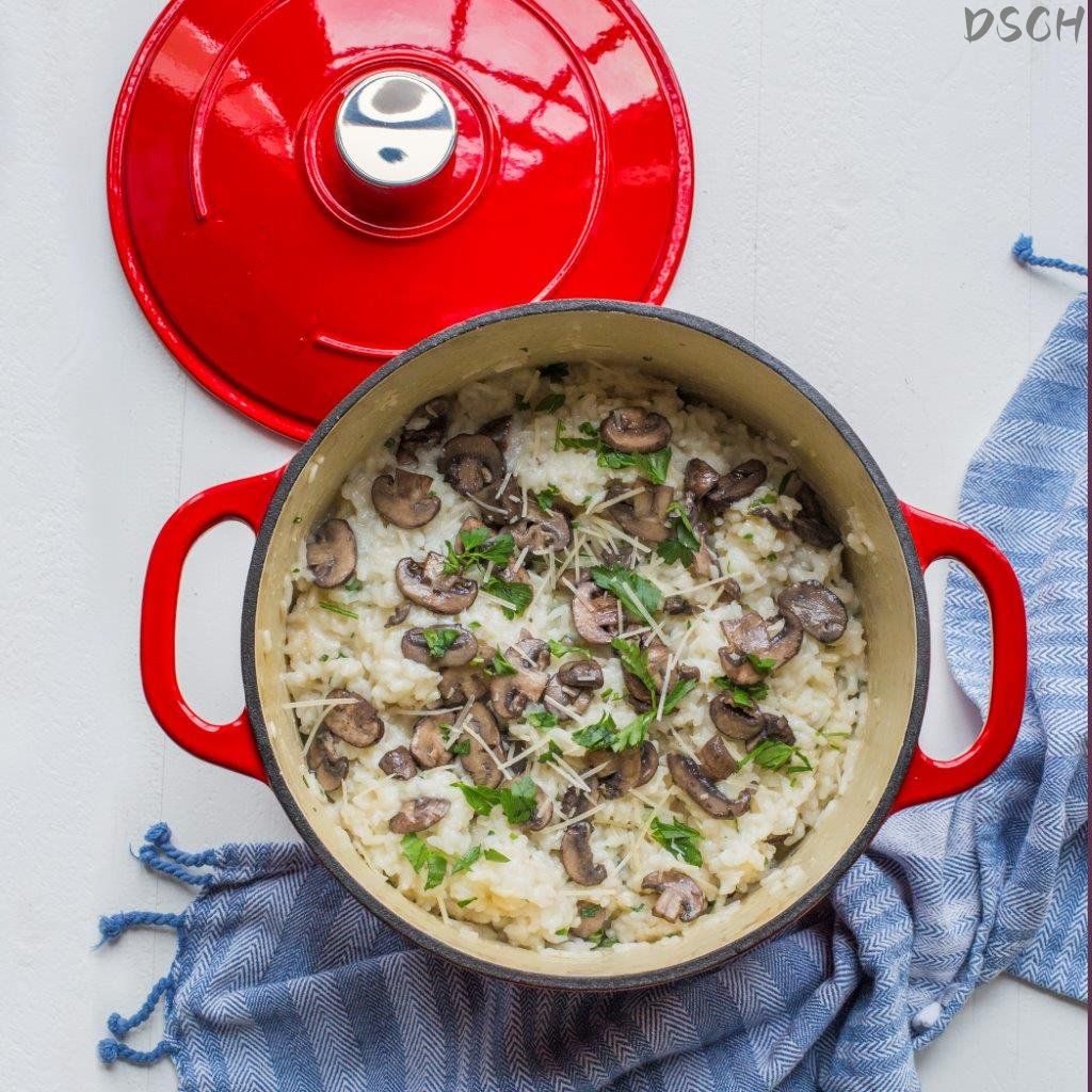 Cast Iron; 6.5 Quart Enameled Cast Iron Dutch Oven